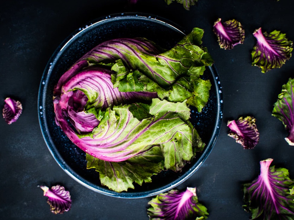some beautiful purple lettuce in a bowl